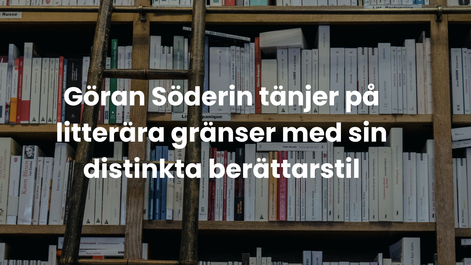 Göran Söderin tänjer på litterära gränser med sin distinkta berättarstil